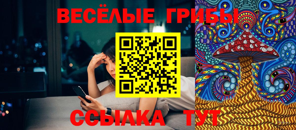 закладки  Галлюциногенные грибы MAGIC MUSHROOMS  Галлюциногенные грибы прущие грибы  Вход с VPN  Волгодонск 