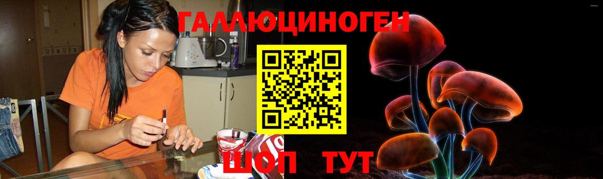 Псилоцибиновые грибы Cubensis Волгодонск